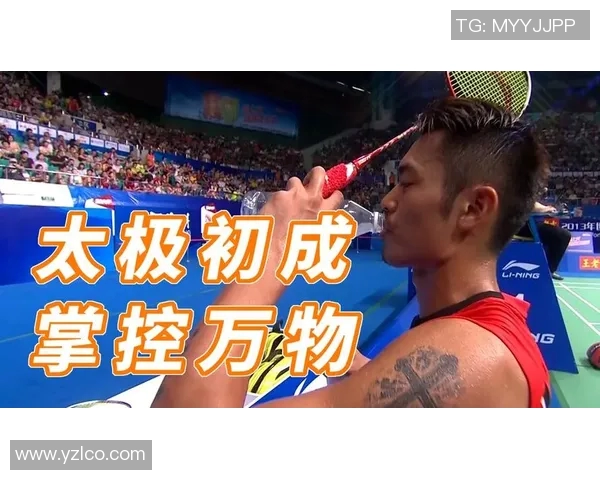 2014年林丹与阮天明巅峰对决精彩回顾与赛后分析 2014年林丹与阮天明巅峰对决精彩回顾与赛后分析